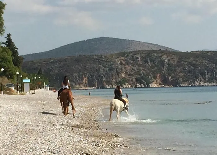 Perivoli Country & Retreat Hotel