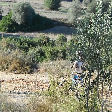 Perivoli Country & Retreat ホテル