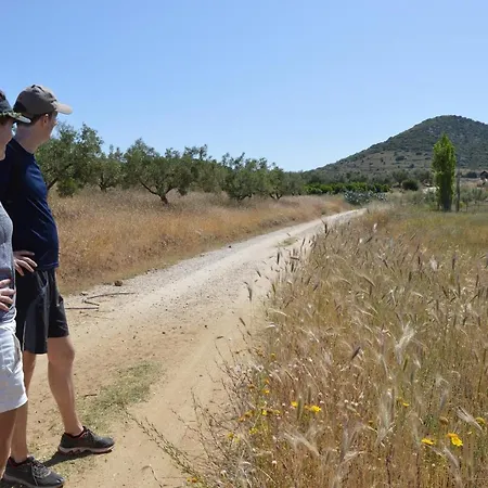 ホテル Perivoli Country & Retreat