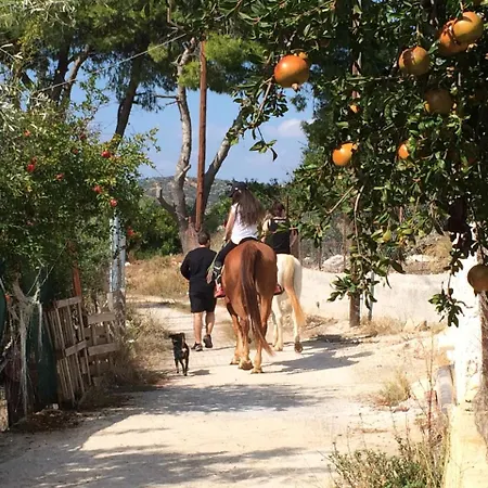 호텔 Perivoli Country & Retreat 나플리오