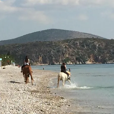 Perivoli Country & Retreat ホテル