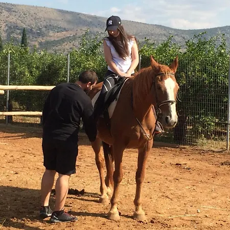 Perivoli Country & Retreat 4* ナフプリオ